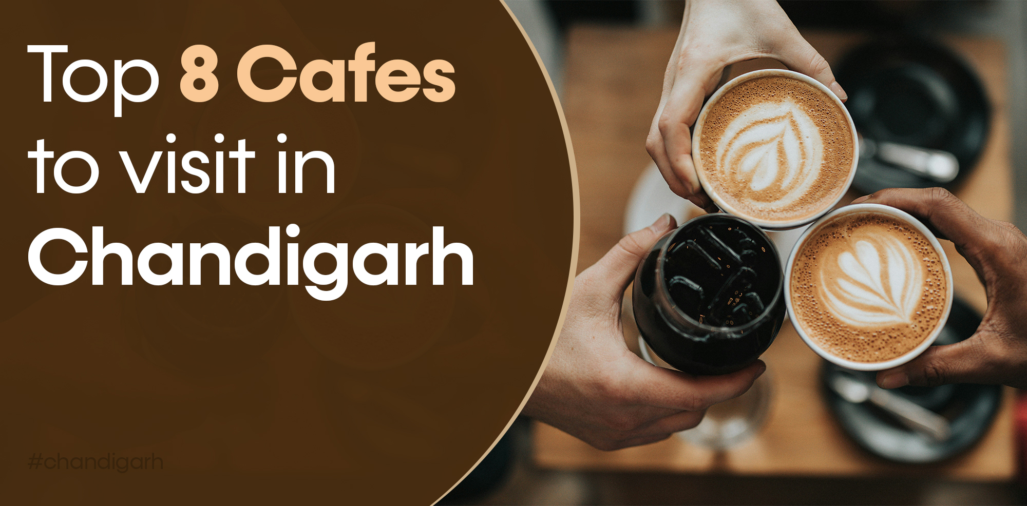Top 8 cafes to visit in Chandigarh